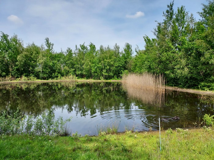 Kruidenbos Ursula