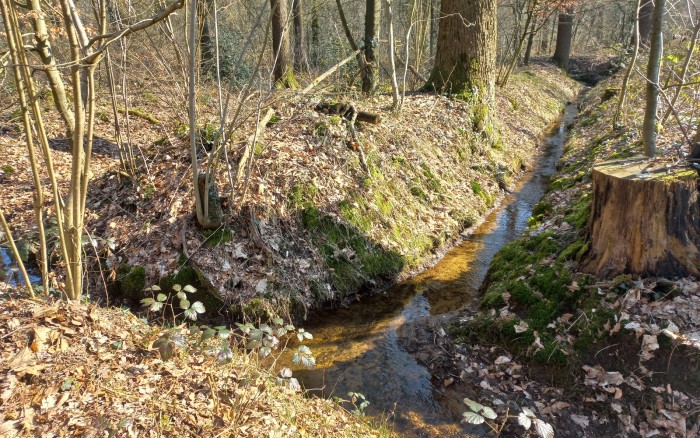 Waterloop Kloosterbos